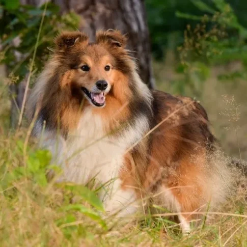 e92a6eeb0e6d16f124ae39b6a34390094d1d0c53-800x600